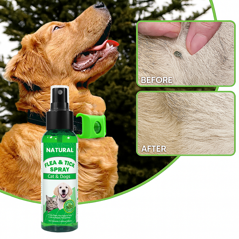Clavya™ - Natural Flea & Tick Spray