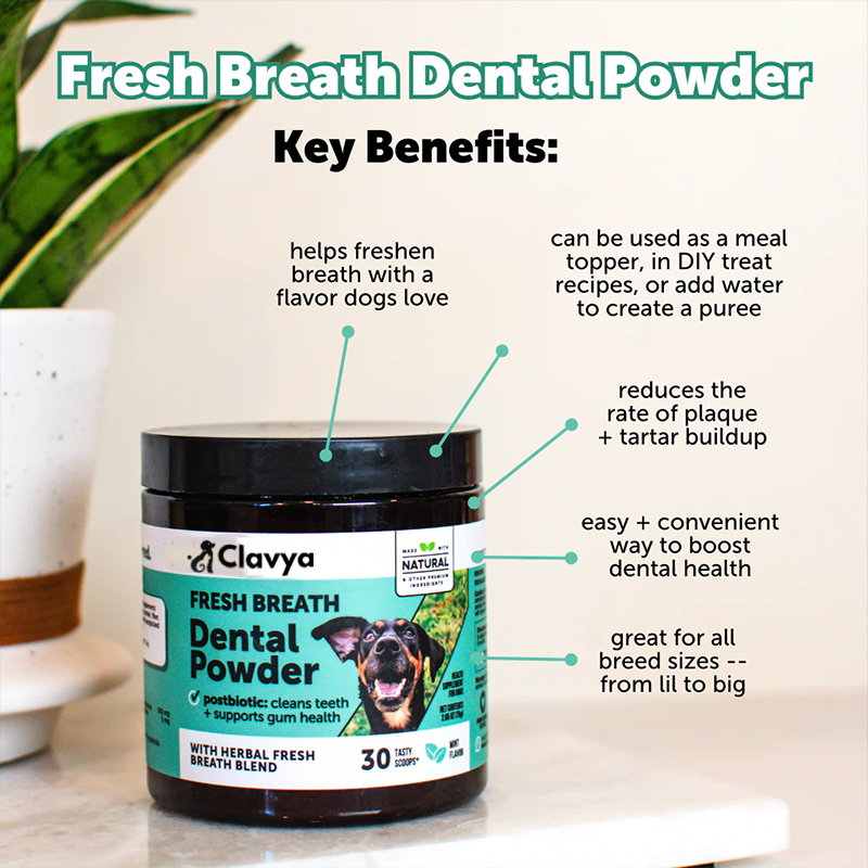 Clavya™ Plaque Plus Dental Powder