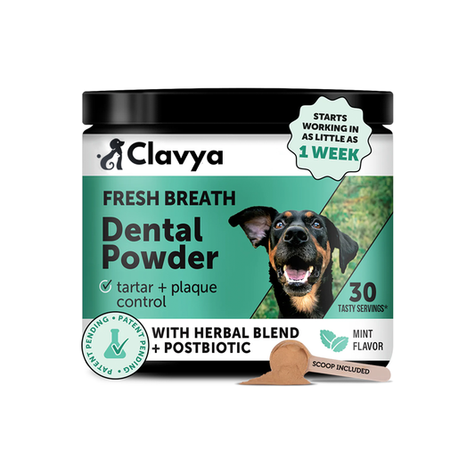 Clavya™ Plaque Plus Dental Powder