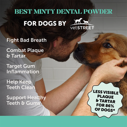 Clavya™ Plaque Plus Dental Powder