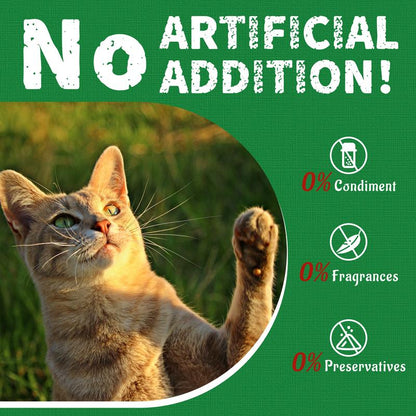 Clavya™ Feline Grass Treats