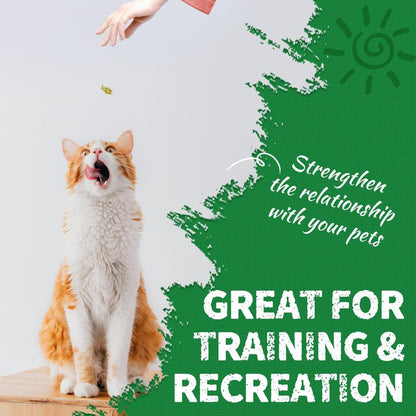 Clavya™ Feline Grass Treats