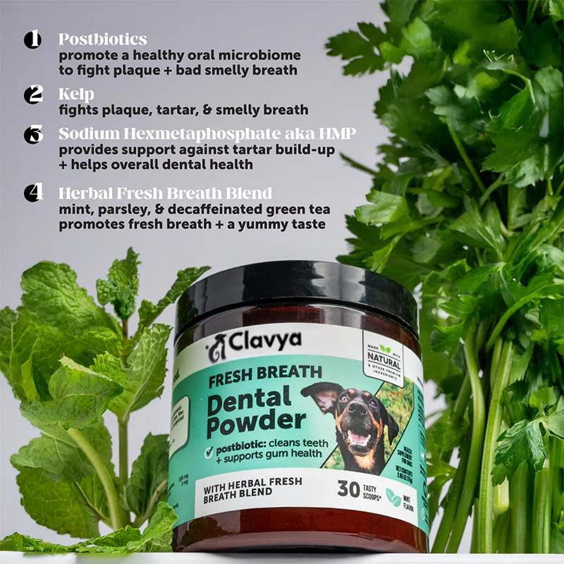 Clavya™ Plaque Plus Dental Powder