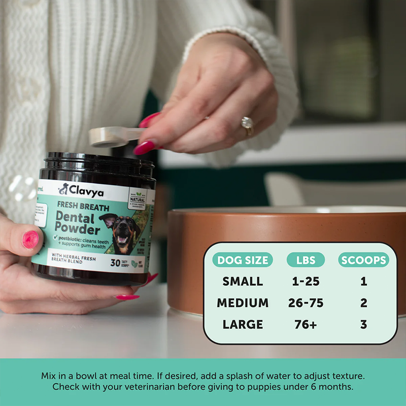 Clavya™ Plaque Plus Dental Powder