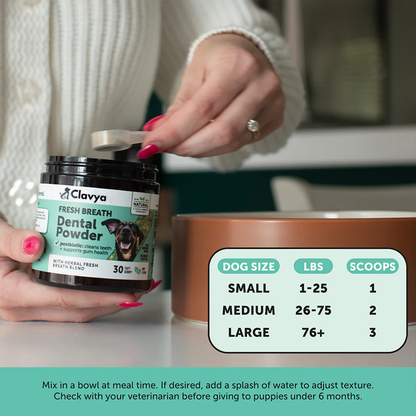Clavya™ Plaque Plus Dental Powder