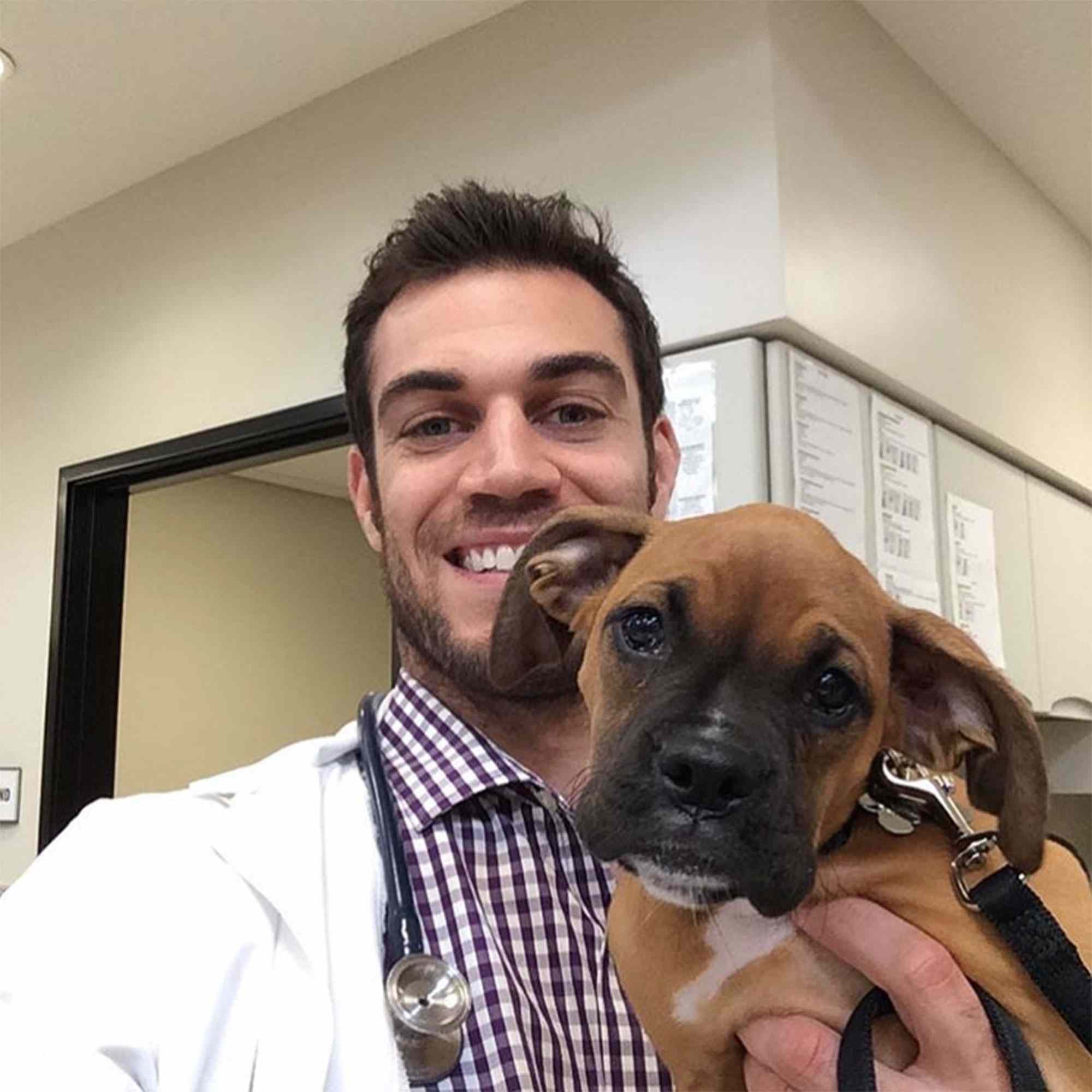 files/evan-antin-pet-vet-22-323d1c731e47495481541e79872db537.jpg