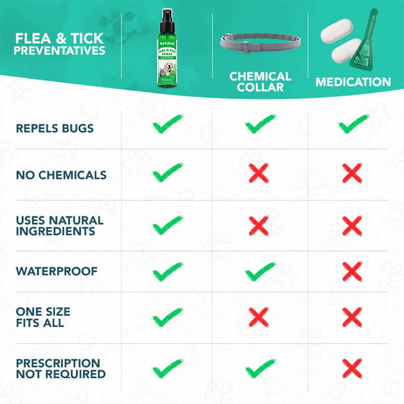 Clavya™ - Natural Flea & Tick Spray