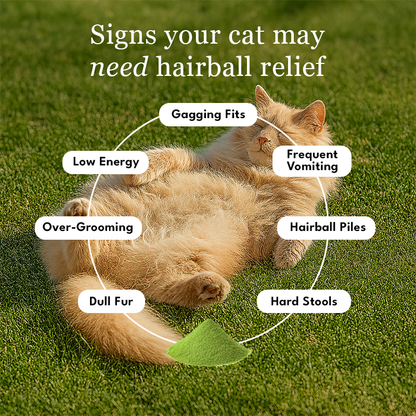 Clavya™ Hairball Relief Powder For Cats
